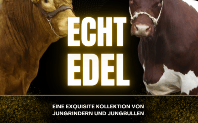 Kataloge Bundesschau online