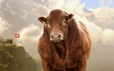 Züchterfahrt Schweiz 11.-14. April 2026